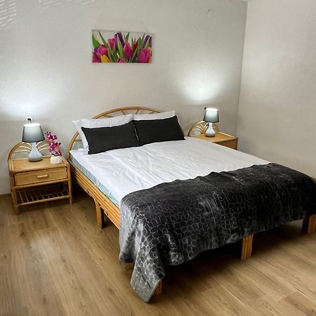Appartment Zlatan سراييفو المظهر الخارجي الصورة